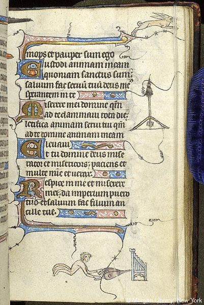 A Hybrid Man Operating a Bellows