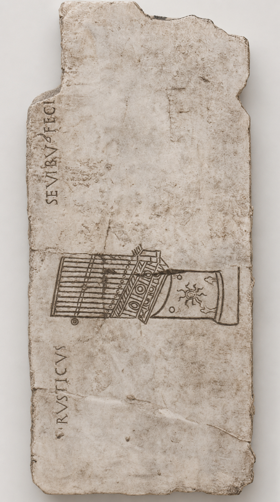 The Organ of Rusticus